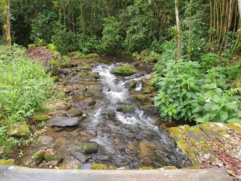 Belezas da Serra da Mantiqueira em MG