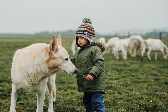 beneficios-contato-animais-desenvolvimento-infantil