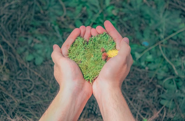 paz-beneficios-da-natureza-cura-cientifica