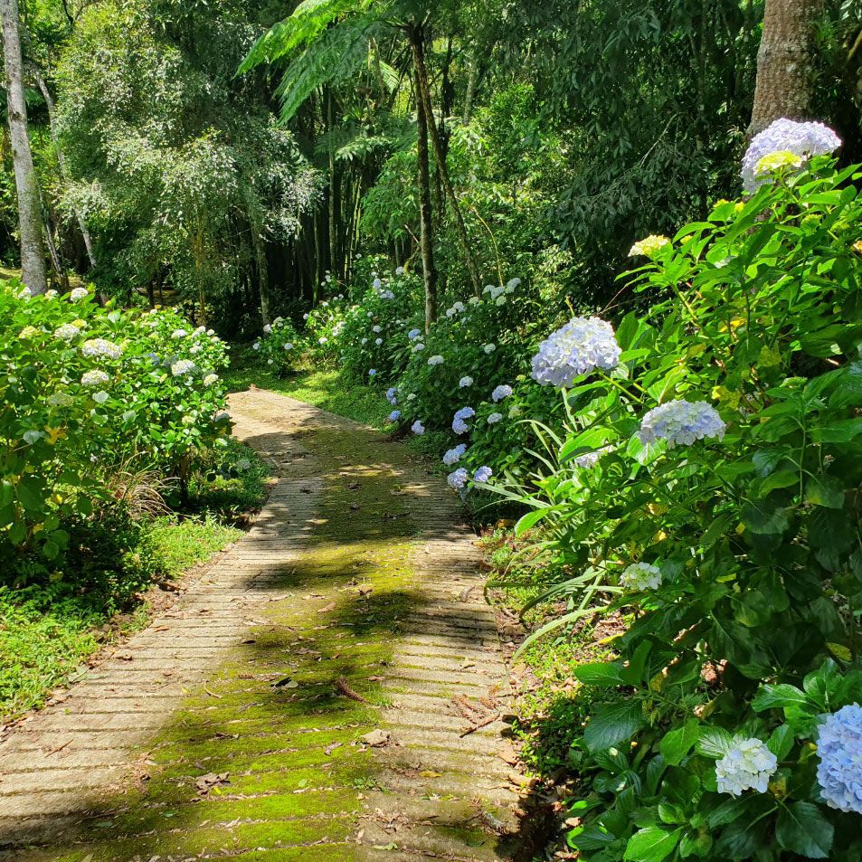 como-aproveitar-o-inverno-na-natureza-dicas-e-beneficios-para-sua-saude-e-bem-estar